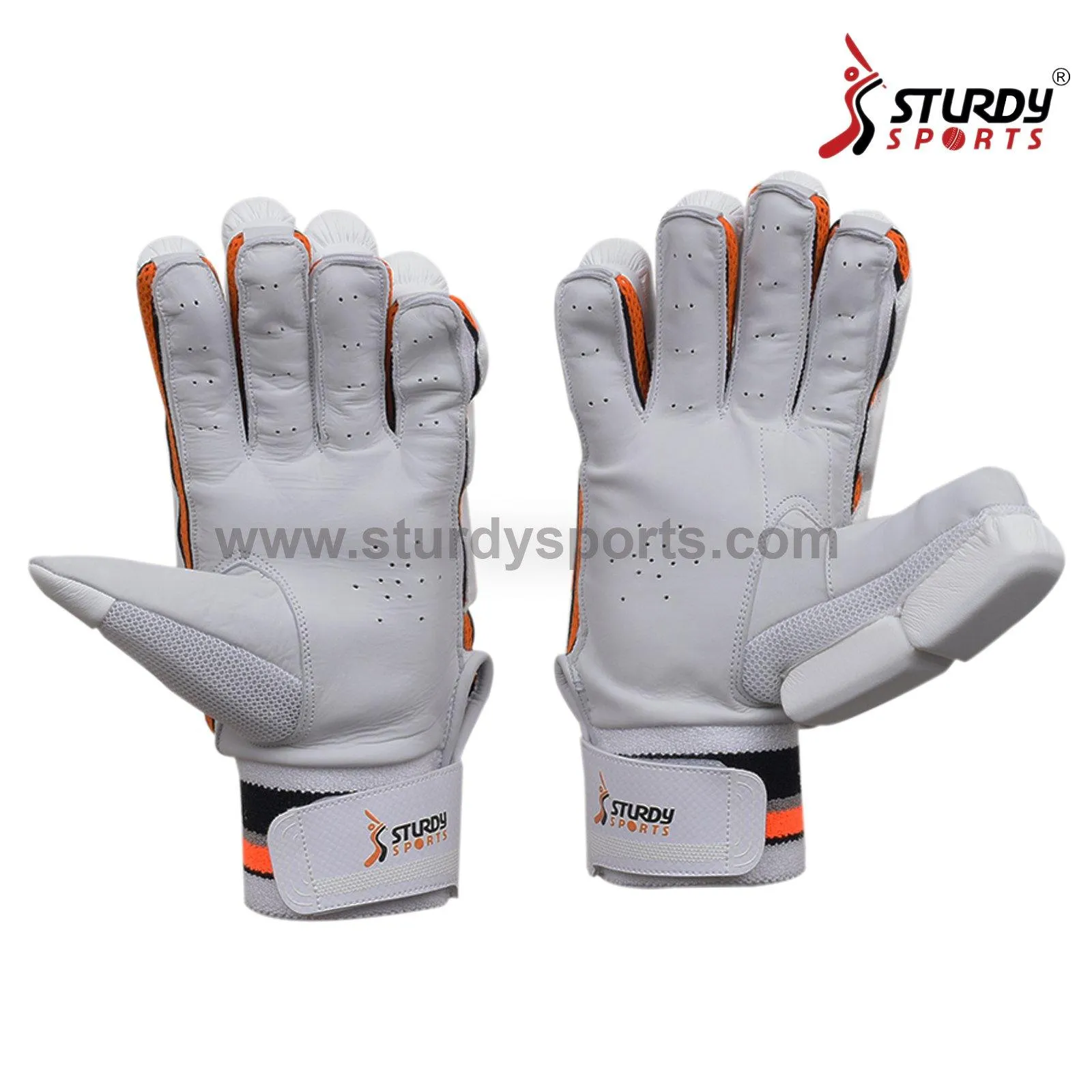 Sturdy Komodo Batting Cricket Gloves - Senior Large